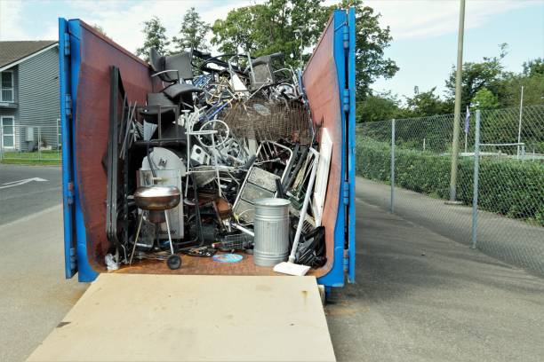 Yard Cleanup Services in Chaffee, MO